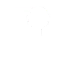ARBOR
